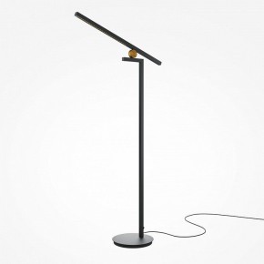 Торшер Maytoni Emphaty MOD363FL-L14B3K в Кудымкаре - kudymkar.mebel24.online | фото 2