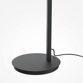 Торшер Maytoni Emphaty MOD363FL-L14B3K в Кудымкаре - kudymkar.mebel24.online | фото 5
