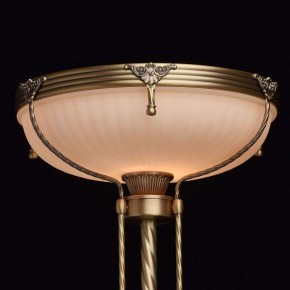 Торшер MW-Light Афродита 1 317040901 в Кудымкаре - kudymkar.mebel24.online | фото 4