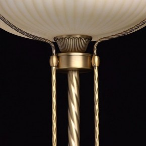 Торшер MW-Light Афродита 1 317040901 в Кудымкаре - kudymkar.mebel24.online | фото 6