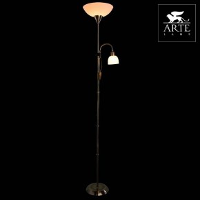 Торшер с подсветкой Arte Lamp Duetto A9569PN-2AB в Кудымкаре - kudymkar.mebel24.online | фото 3