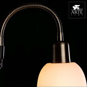 Торшер с подсветкой Arte Lamp Duetto A9569PN-2AB в Кудымкаре - kudymkar.mebel24.online | фото 4