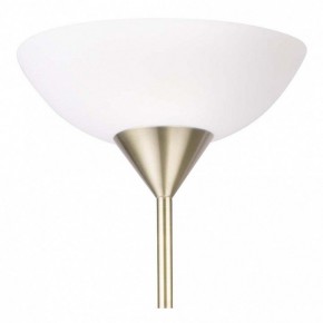 Торшер с подсветкой Arte Lamp Duetto A9569PN-2AB в Кудымкаре - kudymkar.mebel24.online | фото 5