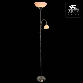 Торшер с подсветкой Arte Lamp Duetto A9569PN-2SS в Кудымкаре - kudymkar.mebel24.online | фото 3