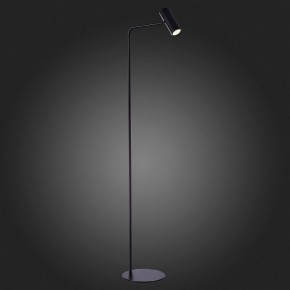 Торшер ST-Luce Arper SL1006.405.01 в Кудымкаре - kudymkar.mebel24.online | фото 4
