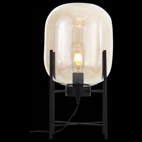 Торшер ST-Luce Burasca SL1050.505.01 в Кудымкаре - kudymkar.mebel24.online | фото 3