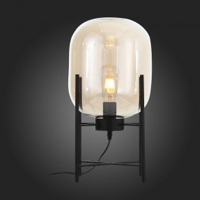 Торшер ST-Luce Burasca SL1050.505.01 в Кудымкаре - kudymkar.mebel24.online | фото 6