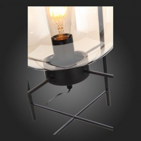 Торшер ST-Luce Burasca SL1050.505.01 в Кудымкаре - kudymkar.mebel24.online | фото 8