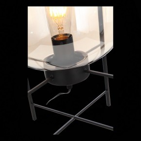 Торшер ST-Luce Burasca SL1050.505.01 в Кудымкаре - kudymkar.mebel24.online | фото 9