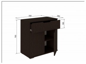Тумба 2Я-03 в Кудымкаре - kudymkar.mebel24.online | фото 3
