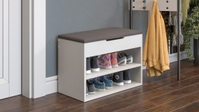 Тумба для обуви Тип 11 в Кудымкаре - kudymkar.mebel24.online | фото 6