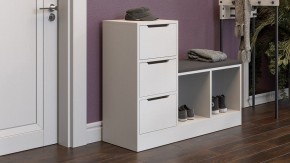 Тумба для обуви Тип 14 в Кудымкаре - kudymkar.mebel24.online | фото 5