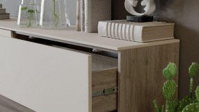 Тумба под ТВ Порто СМ-393.03.011 в Кудымкаре - kudymkar.mebel24.online | фото 6