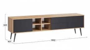 Тумба под ТВ Тип 5 в Кудымкаре - kudymkar.mebel24.online | фото 6