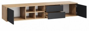 Тумба под ТВ Тип 5 в Кудымкаре - kudymkar.mebel24.online | фото 2