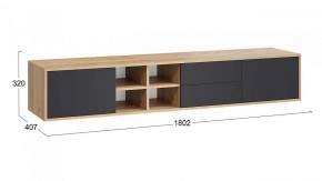 Тумба под ТВ Тип 5 в Кудымкаре - kudymkar.mebel24.online | фото 5