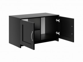 Тумба СИРИУС двухдверная низкая, цвет Дуб Венге в Кудымкаре - kudymkar.mebel24.online | фото 3