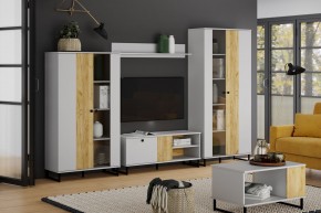Тумба ТВА НМ 014.45 "Бруно" в Кудымкаре - kudymkar.mebel24.online | фото 3