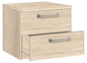 Тумбочка 1.021 в Кудымкаре - kudymkar.mebel24.online | фото