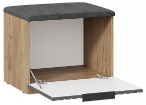 Тумбочка для обуви Хилтон Исп 2.1 в Кудымкаре - kudymkar.mebel24.online | фото 2