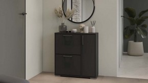 Тумбочка для обуви Тип 15 в Кудымкаре - kudymkar.mebel24.online | фото 5