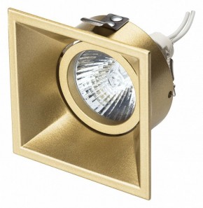 Встраиваемый светильник Lightstar Domino 214503 в Кудымкаре - kudymkar.mebel24.online | фото 2