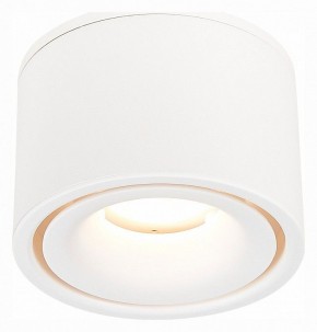 Встраиваемый светильник на штанге ST-Luce ST652 ST652.548.12 в Кудымкаре - kudymkar.mebel24.online | фото 3