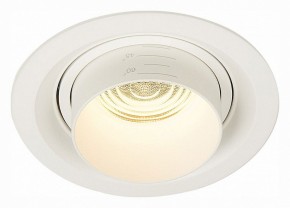 Встраиваемый светильник ST-Luce Zoom ST701.538.12 в Кудымкаре - kudymkar.mebel24.online | фото 2