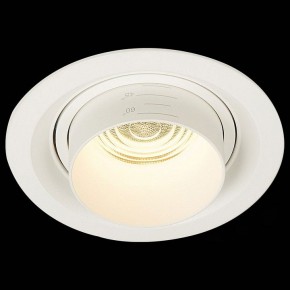 Встраиваемый светильник ST-Luce Zoom ST701.538.12 в Кудымкаре - kudymkar.mebel24.online | фото 4