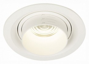 Встраиваемый светильник ST-Luce Zoom ST701.548.12 в Кудымкаре - kudymkar.mebel24.online | фото 2
