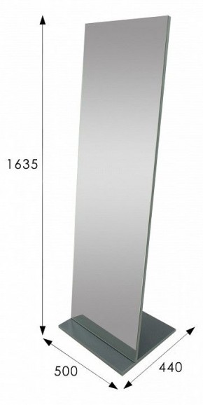 Зеркало напольное Стелла 2 в Кудымкаре - kudymkar.mebel24.online | фото 9